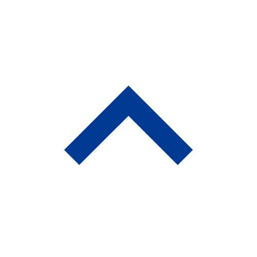 Toggle icon